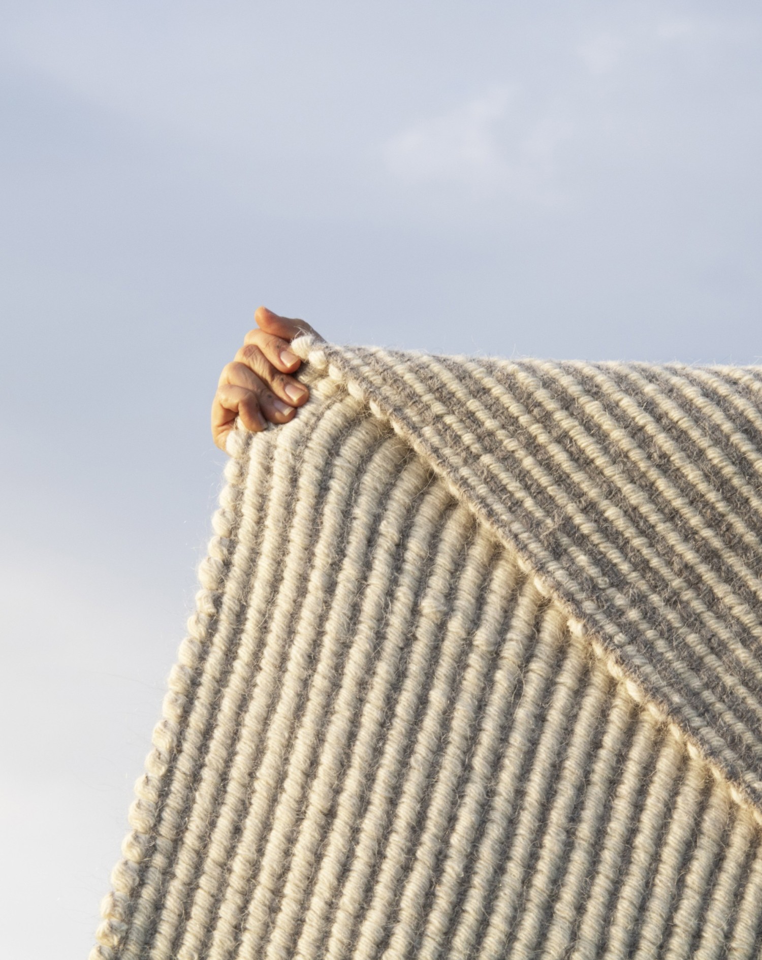 1-laines-paysannes-detail-de-tapis-laines-paysannes.jpg