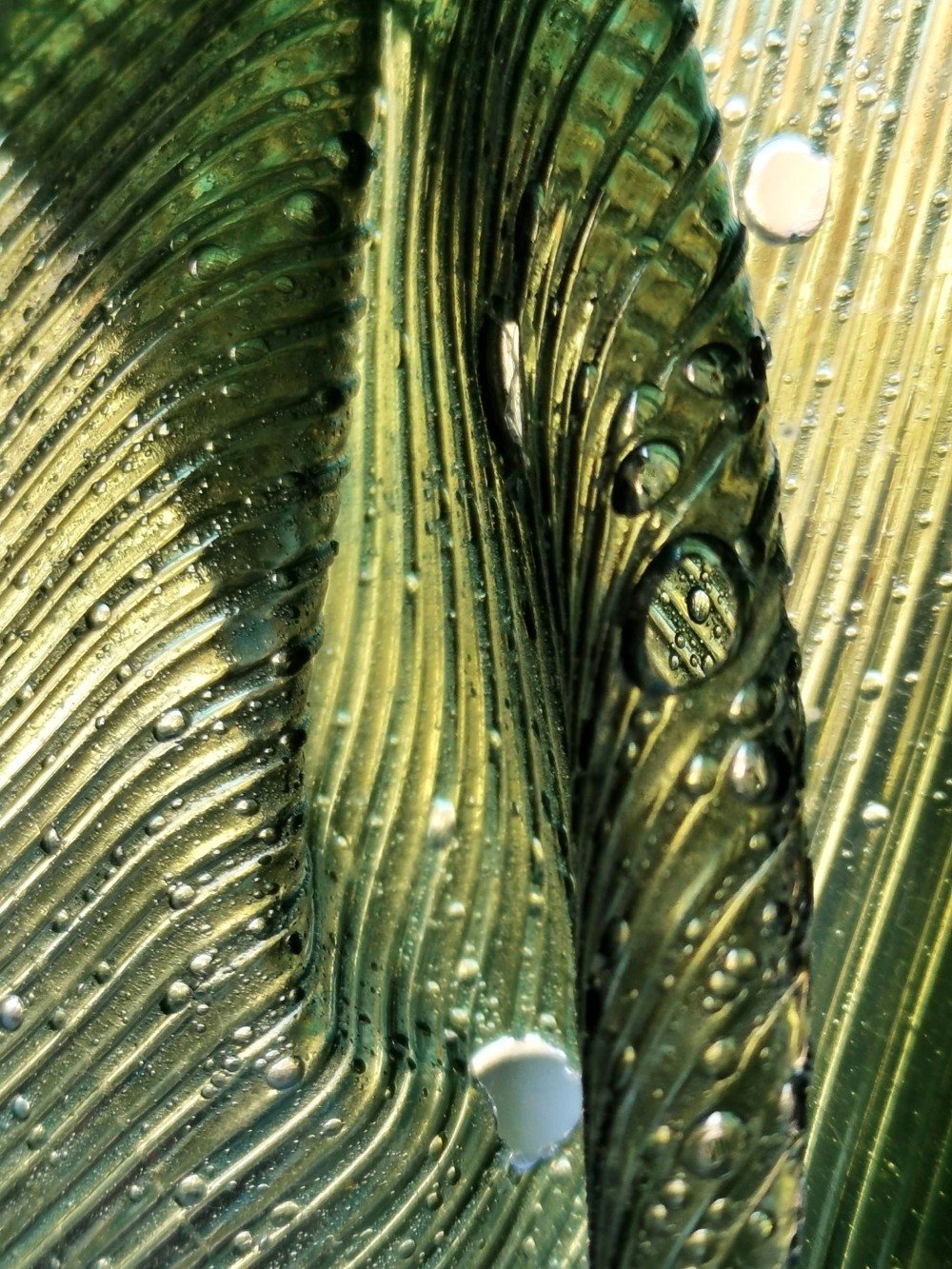 15_barbara-baffy-bioplastique-detail-c-barbara-baffy.jpg