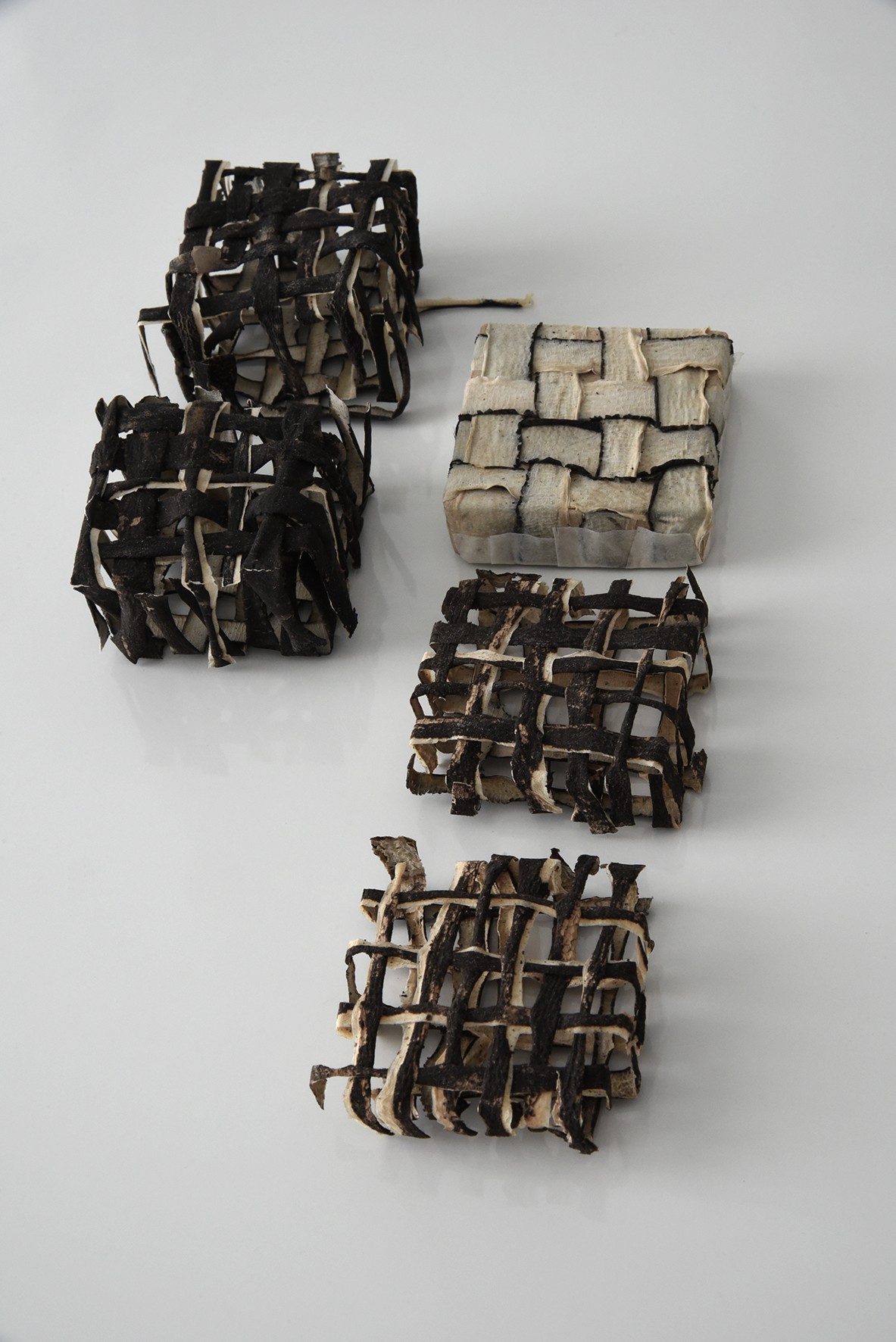 agnes-dosmas-krier-epluchure-de-radis-noir-detail-c-photo-sebastien-krier.jpg