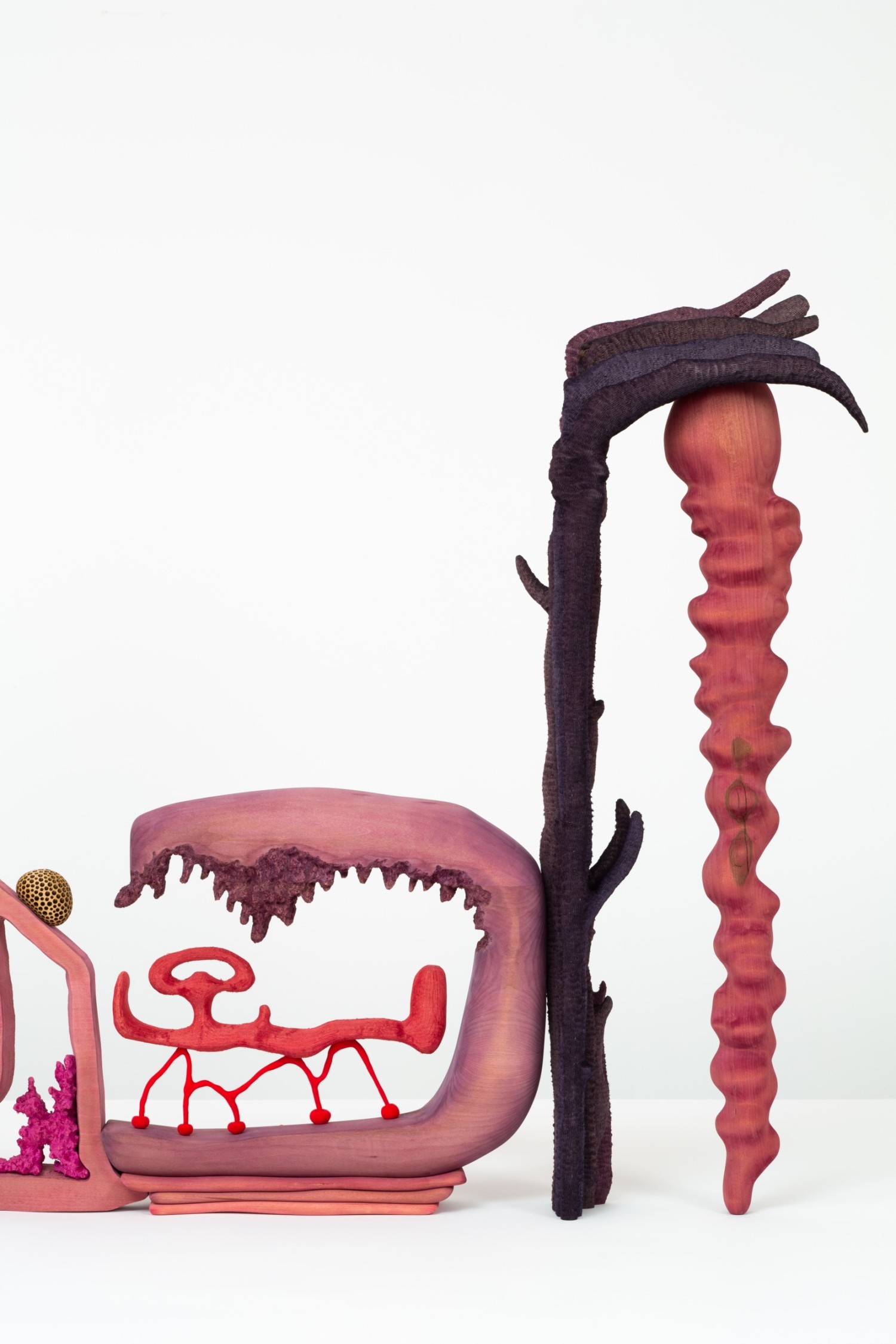 tctsaeao_right_side_d6.jpg