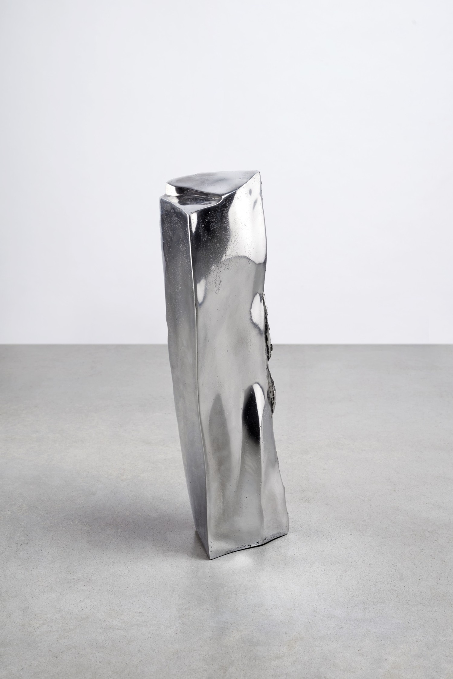 metallic-transformation-log-3.jpg