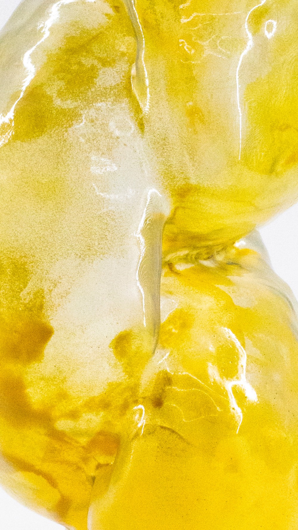 pollen_pin_grain_jonathan_brechignac.jpg