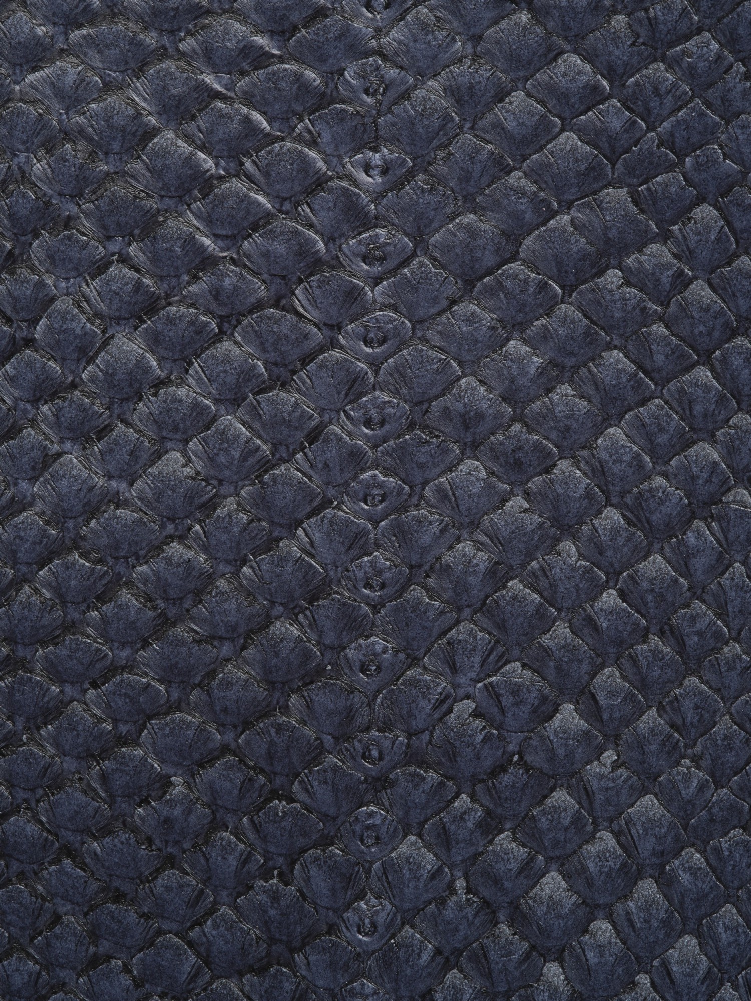 detail-de-squama-brillant-bleu-atlantique-cuir-de-saumon-ictyos-c-ictyos.jpg