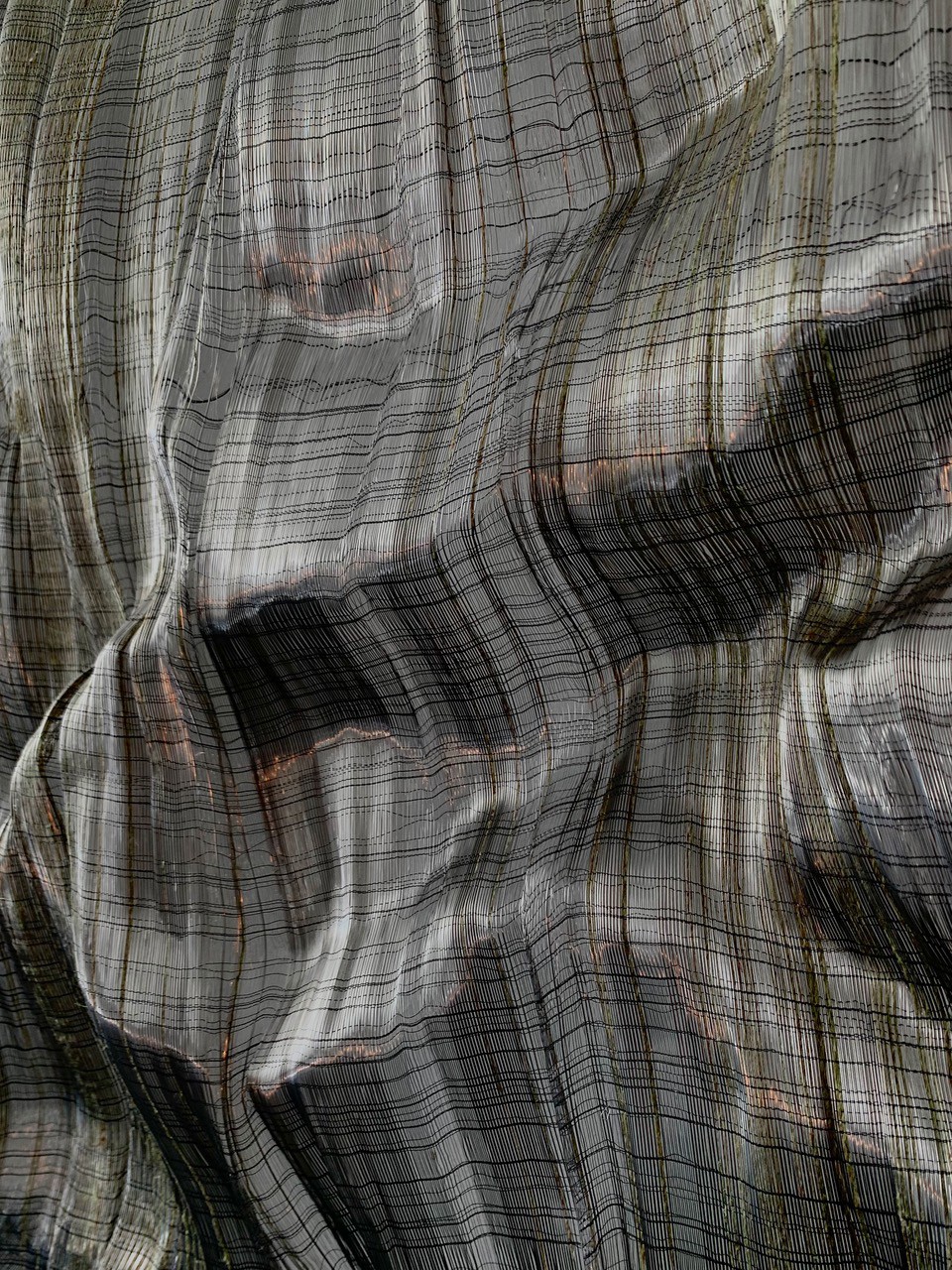 adelinehalot-reef-st.-l.jpg
