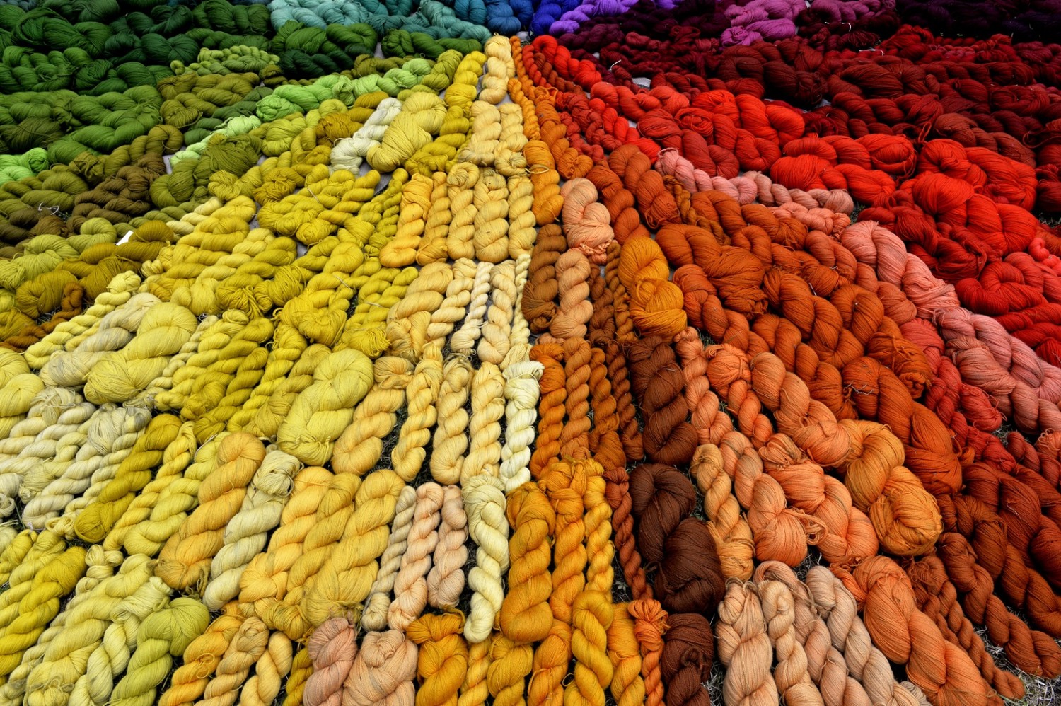 echevaux-de-couleurs_photo-mobilier-national-thibaut-chapotot-4.jpg